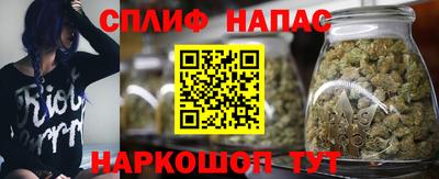 PSILOCYBIN Можга